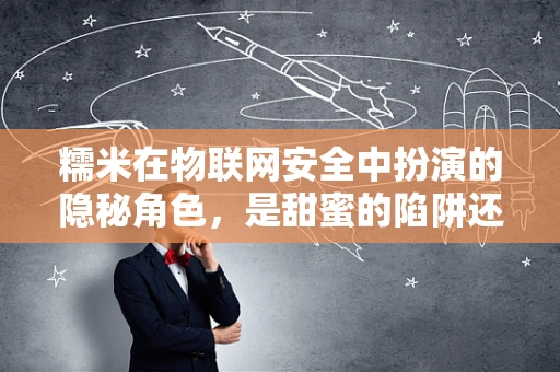 糯米在物联网安全中扮演的隐秘角色，是甜蜜的陷阱还是安全的守护者？