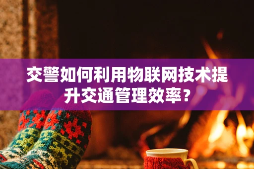 交警如何利用物联网技术提升交通管理效率？