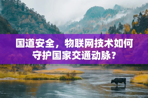 国道安全，物联网技术如何守护国家交通动脉？