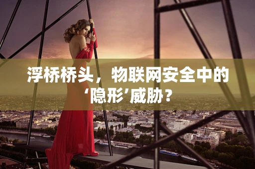 浮桥桥头，物联网安全中的‘隐形’威胁？