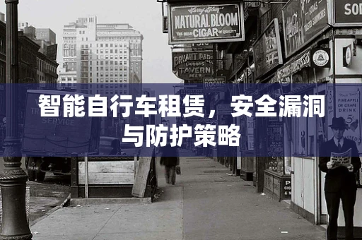 智能自行车租赁，安全漏洞与防护策略