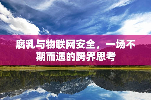 腐乳与物联网安全，一场不期而遇的跨界思考