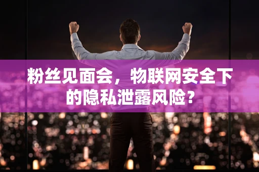 粉丝见面会，物联网安全下的隐私泄露风险？
