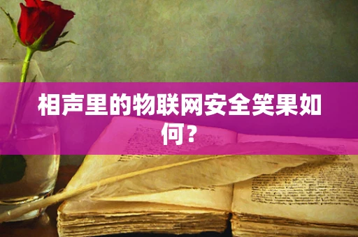 相声里的物联网安全笑果如何？