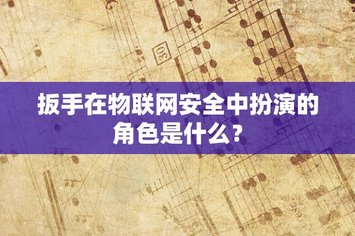 扳手在物联网安全中扮演的角色是什么？
