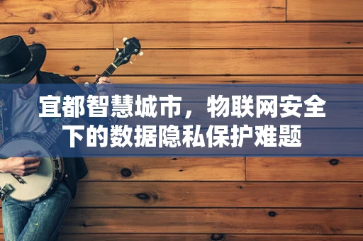 宜都智慧城市，物联网安全下的数据隐私保护难题