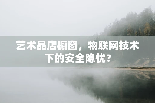 艺术品店橱窗，物联网技术下的安全隐忧？