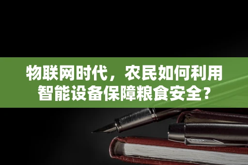 物联网时代，农民如何利用智能设备保障粮食安全？