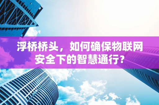 浮桥桥头，如何确保物联网安全下的智慧通行？