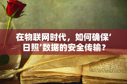 在物联网时代，如何确保‘日照’数据的安全传输？