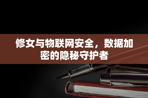 修女与物联网安全，数据加密的隐秘守护者