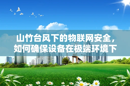 山竹台风下的物联网安全，如何确保设备在极端环境下的稳定运行？