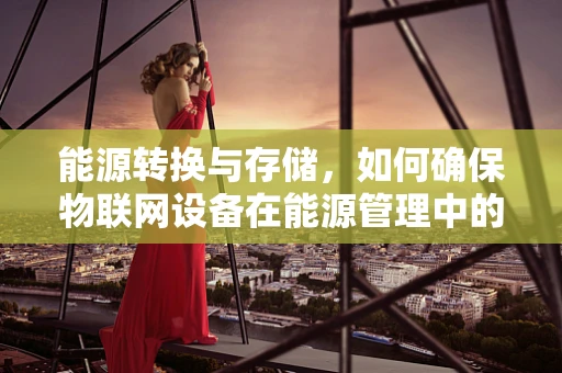 能源转换与存储，如何确保物联网设备在能源管理中的安全？