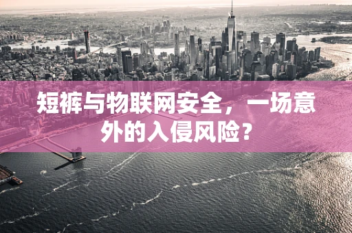 短裤与物联网安全，一场意外的入侵风险？