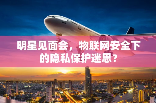 明星见面会，物联网安全下的隐私保护迷思？