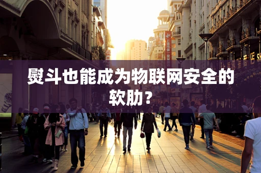 熨斗也能成为物联网安全的软肋？