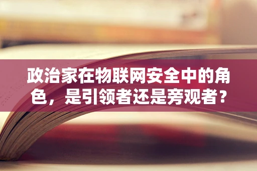 政治家在物联网安全中的角色，是引领者还是旁观者？