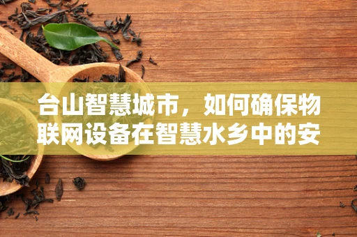 台山智慧城市，如何确保物联网设备在智慧水乡中的安全？