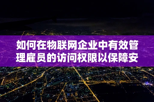 如何在物联网企业中有效管理雇员的访问权限以保障安全？