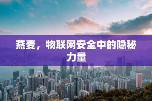 燕麦，物联网安全中的隐秘力量