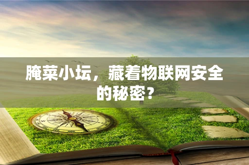 腌菜小坛，藏着物联网安全的秘密？