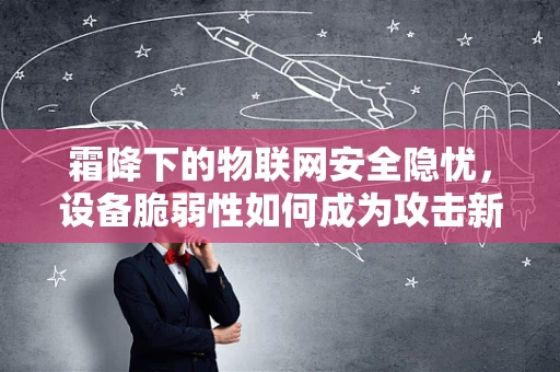 霜降下的物联网安全隐忧，设备脆弱性如何成为攻击新热点？