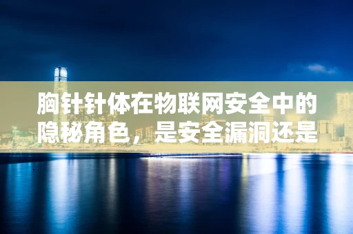 胸针针体在物联网安全中的隐秘角色，是安全漏洞还是创意入口？