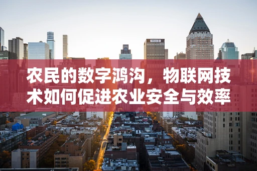 农民的数字鸿沟，物联网技术如何促进农业安全与效率？