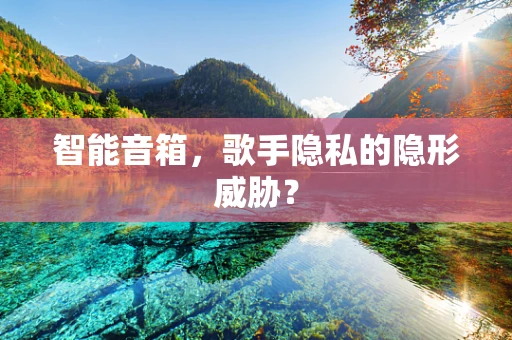 智能音箱，歌手隐私的隐形威胁？