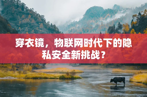 穿衣镜，物联网时代下的隐私安全新挑战？