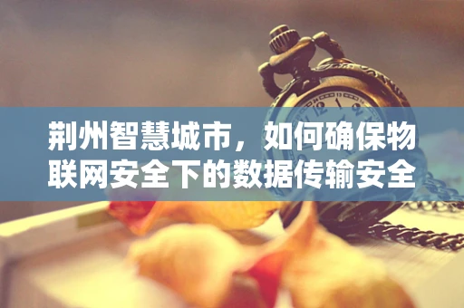 荆州智慧城市，如何确保物联网安全下的数据传输安全？