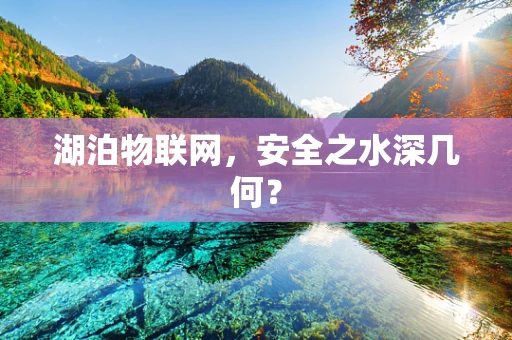 湖泊物联网，安全之水深几何？