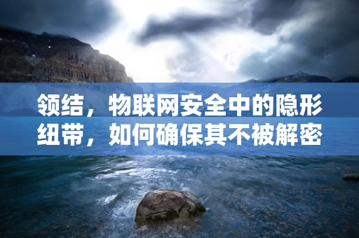 领结，物联网安全中的隐形纽带，如何确保其不被解密？