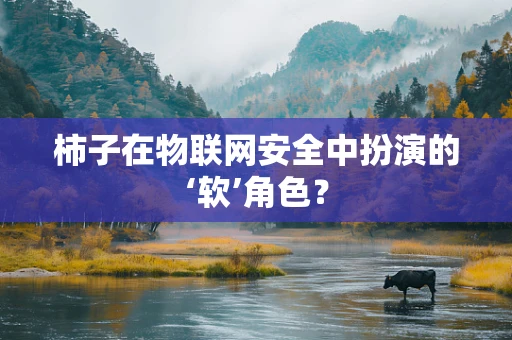 柿子在物联网安全中扮演的‘软’角色？