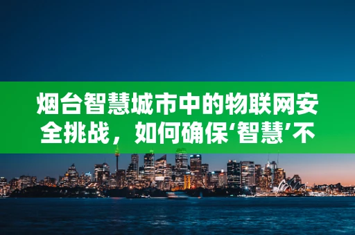 烟台智慧城市中的物联网安全挑战，如何确保‘智慧’不被‘智障’？