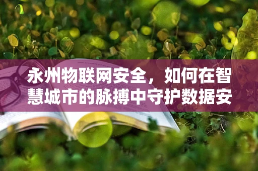 永州物联网安全，如何在智慧城市的脉搏中守护数据安全？