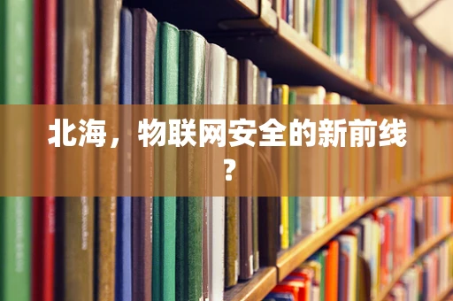 北海，物联网安全的新前线？