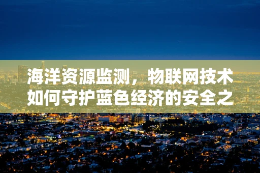 海洋资源监测，物联网技术如何守护蓝色经济的安全之门？