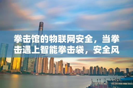 拳击馆的物联网安全，当拳击遇上智能拳击袋，安全风险何在？