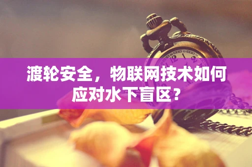 渡轮安全，物联网技术如何应对水下盲区？
