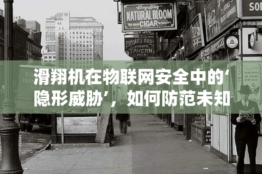 滑翔机在物联网安全中的‘隐形威胁’，如何防范未知的空中入侵？