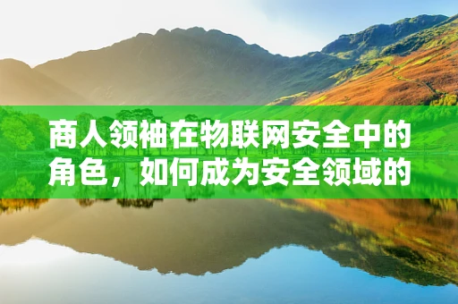 商人领袖在物联网安全中的角色，如何成为安全领域的领航者？