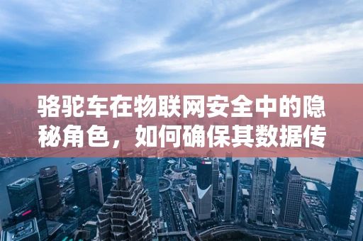 骆驼车在物联网安全中的隐秘角色，如何确保其数据传输的安全？