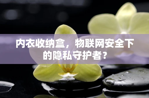 内衣收纳盒，物联网安全下的隐私守护者？