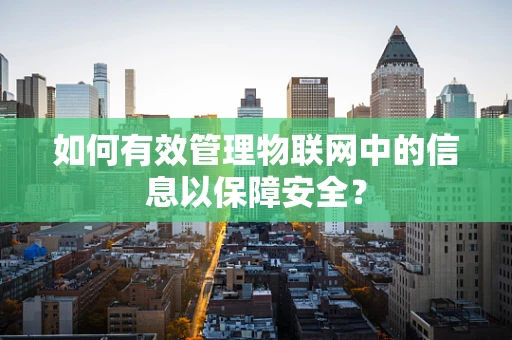 如何有效管理物联网中的信息以保障安全？