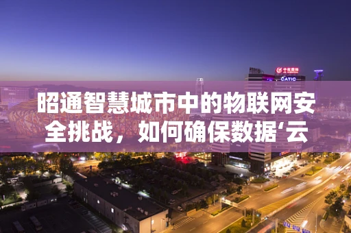 昭通智慧城市中的物联网安全挑战，如何确保数据‘云’上无忧？
