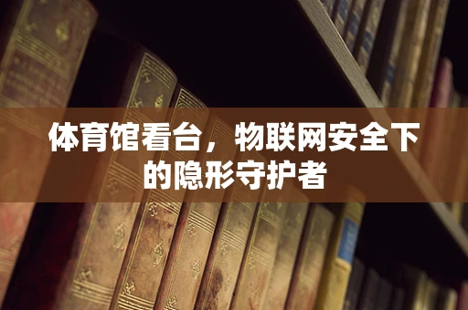 体育馆看台，物联网安全下的隐形守护者