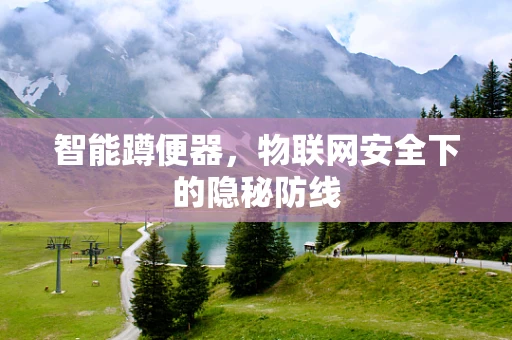 智能蹲便器，物联网安全下的隐秘防线