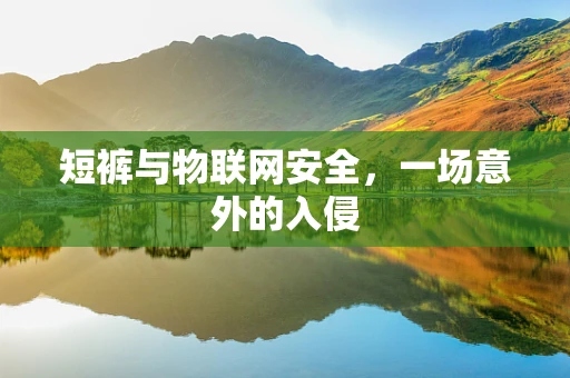 短裤与物联网安全，一场意外的入侵