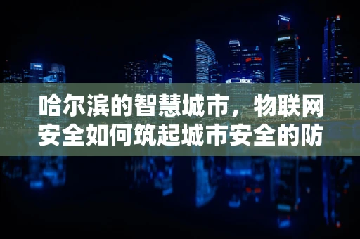 哈尔滨的智慧城市，物联网安全如何筑起城市安全的防线？